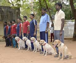  First Police Dog Squad