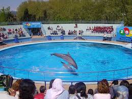  FIRST MARINE AMUSEMENT PARK