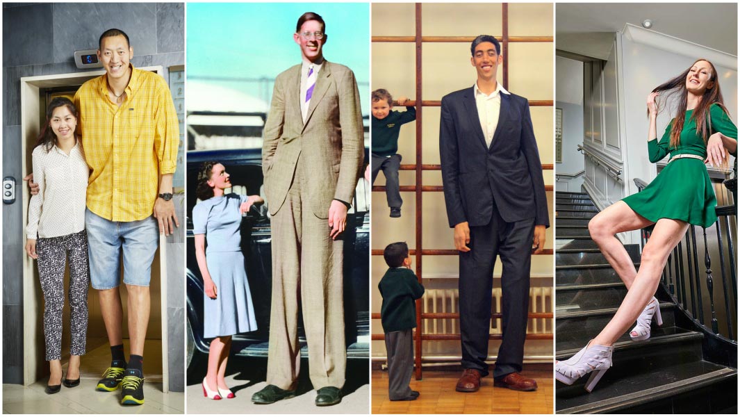  A history of record-breaking giants 100 years after the tallest man ever was born