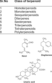  “Dr. Sukh Dev: Pioneer in the Discovery of New Terpenoid Types at IIT Delhi”