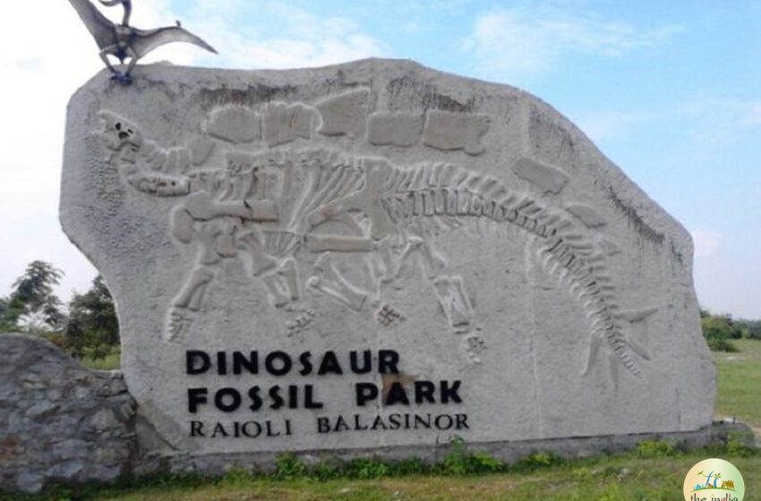  Gujarat’s Balasinor Dinosaur Egg Hatcheries Site Pushes for UNESCO Recognition
