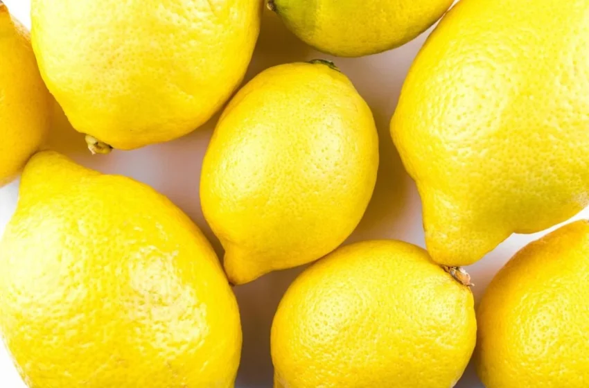  Niagara Students Attempt World Record with a Zesty Lemon Twist