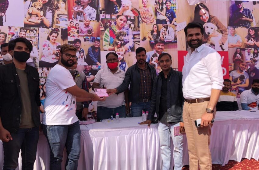  PAWS Sets New Record by Facilitating Adoption of 120 Homeless Puppies in a Single Day