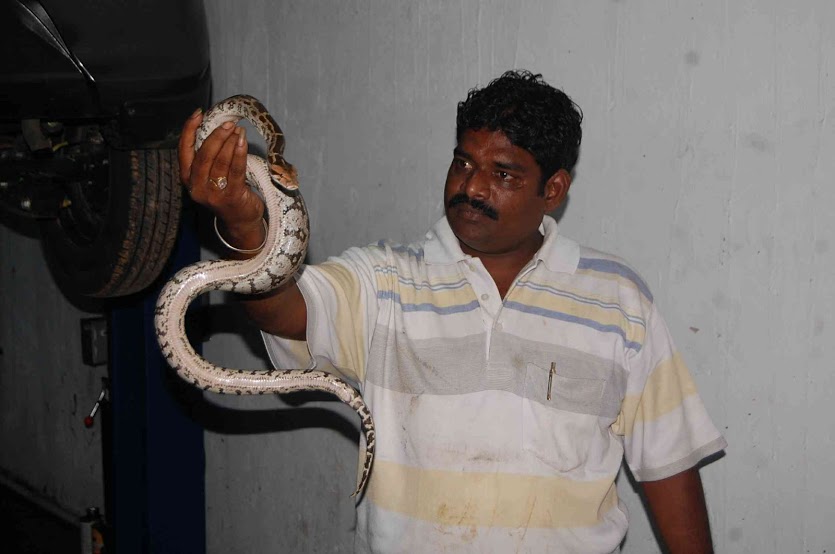  Rokkam Kiran Kumar: The Bare-Handed Snake Rescuer of Visakhapatnam