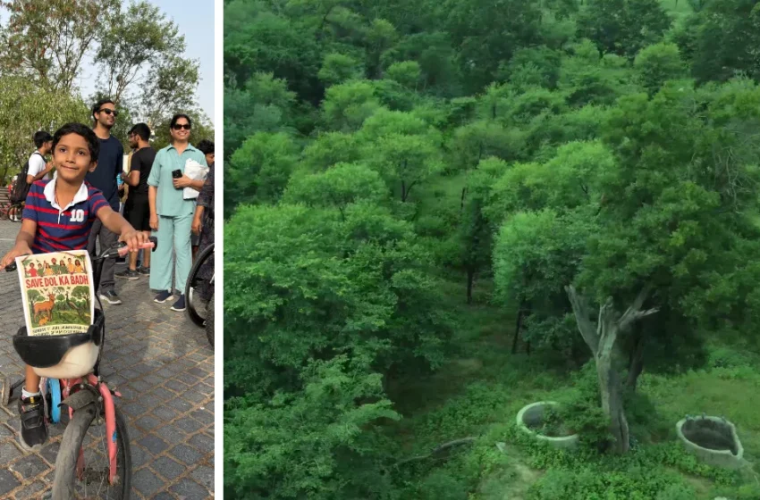  From Robots to Rainforests: Engineer Shaurya Goyal Finds His Calling in Nature