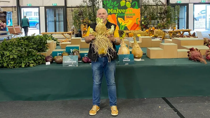  Gloucester Gardener Smashes World Record with Giant Celeriac