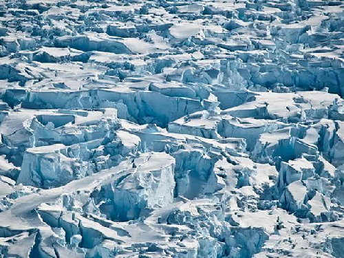  Global Sea Ice Shrinks to Record Low in February as Climate Crisis Deepens