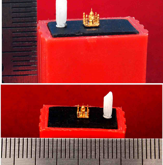  Mandapeta Goldsmith Crafts Smallest Gold Taj Mahal Idol