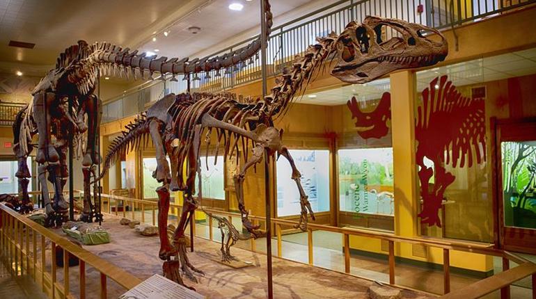  India’s First Dinosaur Museum Roars to Life in Gujarat