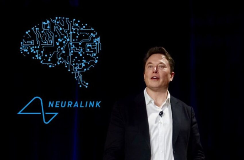  Elon Musk Confirms Neuralink Will Restore Vision to the Completely Blind Within a Year