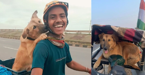  Cyclist’s Roadside Rescue Turns Into Lifelong Bond with Stray Puppy Near Delhi