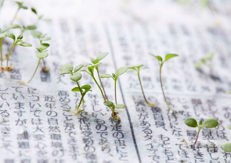  Japan’s Eco-Friendly Innovation: Newspapers That Grow Into Plants After Reading