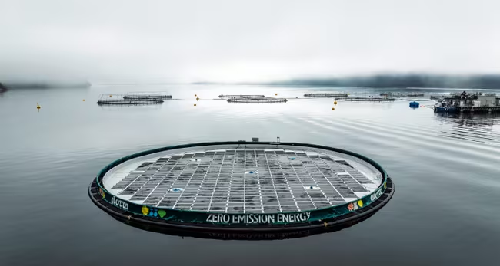  Norway Turns the Ocean Into a Solar Power Farm — And It Works Through Storms and Snow