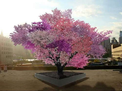  American Professor Cultivates “Tree of 40” That Grows 40 Different Fruits on a Single Tree