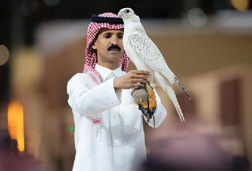  “Rare Falcon Sets Record, Sold for ₹90 Crore at Riyadh Auction”