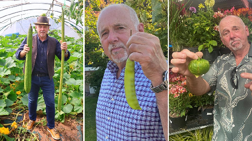  “UK Gardener Graham Barratt Sets Four World Records for Giant Fruits and Vegetables”