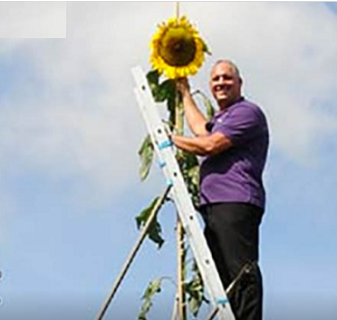  Indiana Man’s 30-Foot Sunflower Set to Break World Record