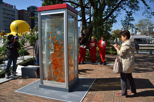  Japan Turns Old Phone Booths into Goldfish Aquariums in Osaka