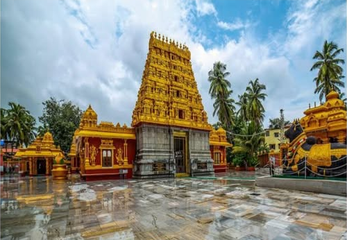  Mangalore Crowned India’s Safest City for 2025, New Delhi Among Most Dangerous