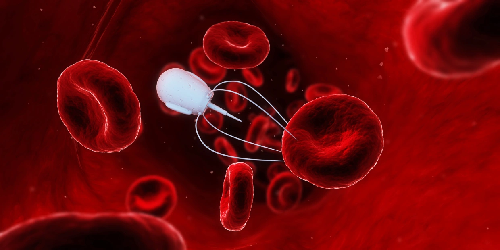 “Medical Marvel: Nanorobots Created to Deliver Drugs Inside Human Body”
