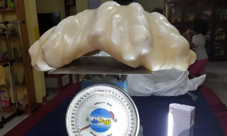  Fisherman’s Hidden Treasure: $100 Million Pearl Found Under Bed After a Decade