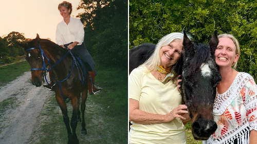  World’s Oldest Horse, Once Owned by Burt Reynolds, Passes Away at 40