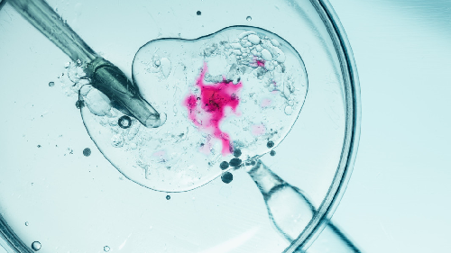  Ohio Couple Welcome Baby from 31-Year-Old Frozen Embryo