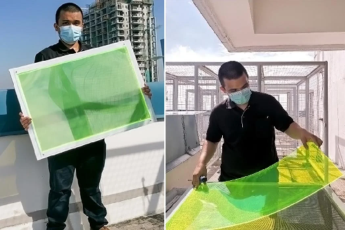  Filipino Student Creates Solar Panel from Food Waste That Works Without Direct Sunlight