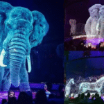 German Circus Dazzles Audiences with Holograms Instead of Animals