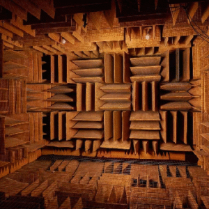 Guinness World Records Confirms Minnesota Lab as Quietest Place on Earth