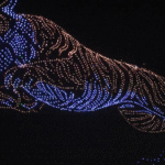 Mysuru Dasara Aims for Guinness World Record with 3,000-Drone ‘Tiger’ Display
