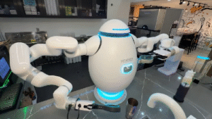 Vietnamese Innovator Elizabeth Truong Revolutionizes Burgers with Robotics in the Bay