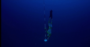 Russian Freediver Alexey Molchanov Sets New 126m World Record in Cyprus