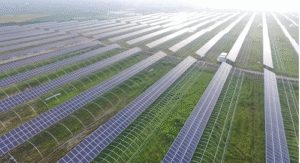 German Breakthrough: ‘Dual Harvesting’ Grows Food and Solar Power on the Same Land