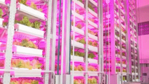 “AI Takes Over Farming: China’s 20-Storey Vertical Farm Grows 50 Tons of Vegetables Robotically”