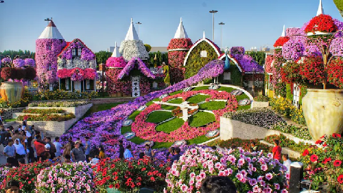  A Feast for the Senses: Dubai Miracle Garden 2025 Opens with New Attractions