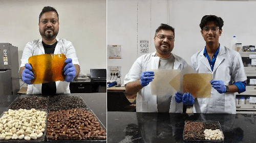  India Turns Jackfruit & Jamun Seeds Into Packaging That Vanishes in 60 Days!
