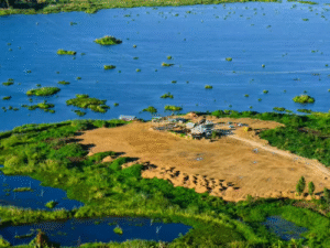 Floating Marvel: Keibul Lamjao National Park Celebrates Unique Biodiversity