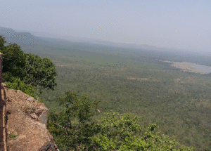 Nagarjunsagar-Srisailam Affirms Status as India’s Largest Tiger Reserve