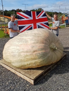 British Twin Brothers Set Guinness World Record with 2,819-Pound Pumpkin