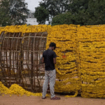 Telangana’s Guinness Record Bathukamma Dismantled, Taken for Biodegradable Use
