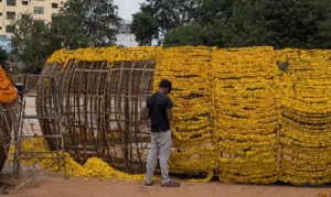 Telangana’s Guinness Record Bathukamma Dismantled, Taken for Biodegradable Use