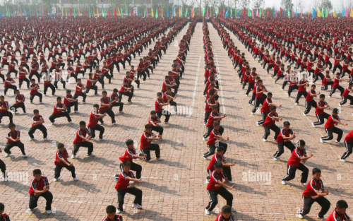  10,000 Warriors, One Spirit: Shaolin Discipline on Display in Dengfeng