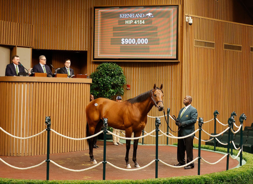  $900K Sale Sets World Record at Keeneland