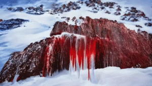 Antarctica’s Blood Falls The Red Waterfall from a Million-Year-Old Lake