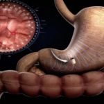 China Introduces AI-Powered Capsule for Quick, Non-Invasive Stomach Exams