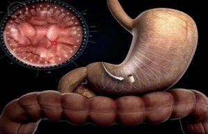 China Introduces AI-Powered Capsule for Quick, Non-Invasive Stomach Exams