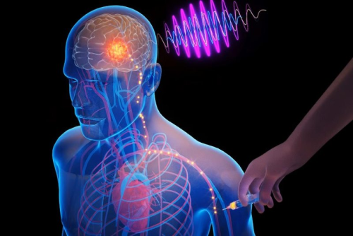  Indian-Origin Scientist Develops Injectable Electronic Chip to Treat Brain Disorders Non-Invasively