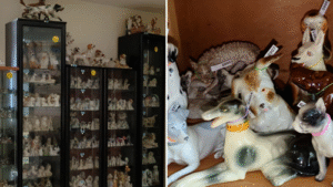 Largest Collection of Dog-Related Items