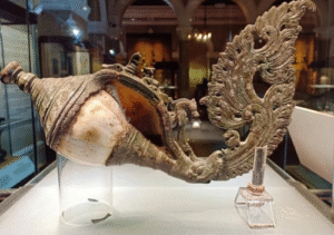 Legendary Conch Shell at Colombo National Museum Sparks Fascination and Mystique